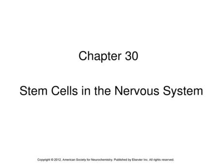 Stem Cells in the Nervous System