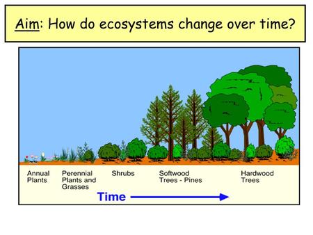 Aim: How do ecosystems change over time?