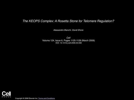 The KEOPS Complex: A Rosetta Stone for Telomere Regulation?