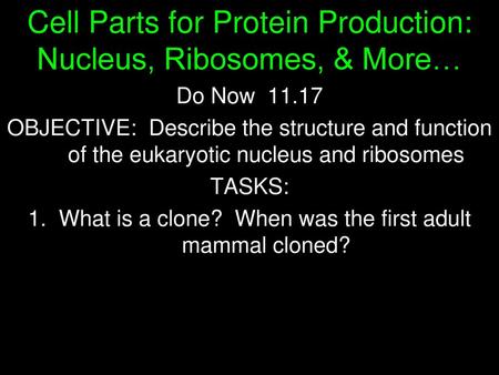 Cell Parts for Protein Production: Nucleus, Ribosomes, & More…