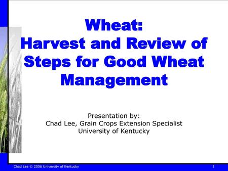 Wheat: Harvest and Review of Steps for Good Wheat Management