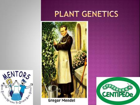 Plant Genetics.