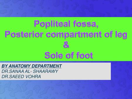 Popliteal fossa, Posterior compartment of leg & Sole of foot