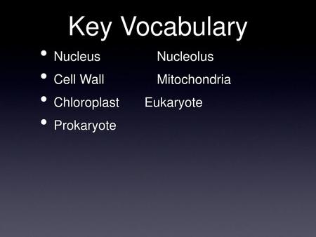 Key Vocabulary Nucleus Nucleolus Cell Wall Mitochondria