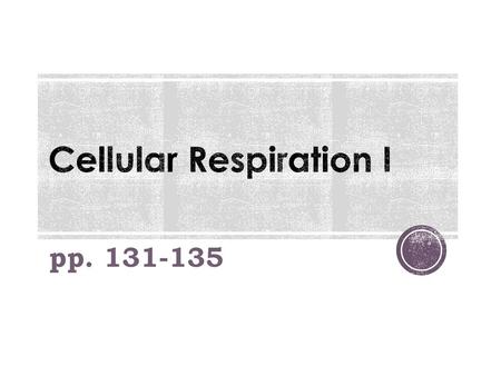 Cellular Respiration I