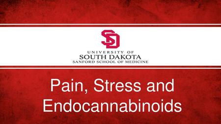 Pain, Stress and Endocannabinoids