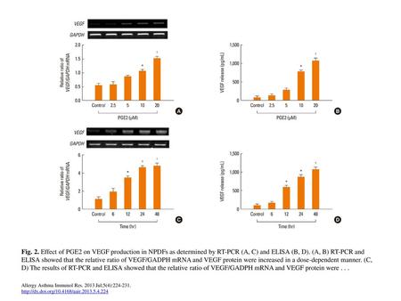 Fig. 2. Effect of PGE2 on VEGF production in NPDFs as determined by RT-PCR (A, C) and ELISA (B, D). (A, B) RT-PCR and ELISA showed that the relative ratio.