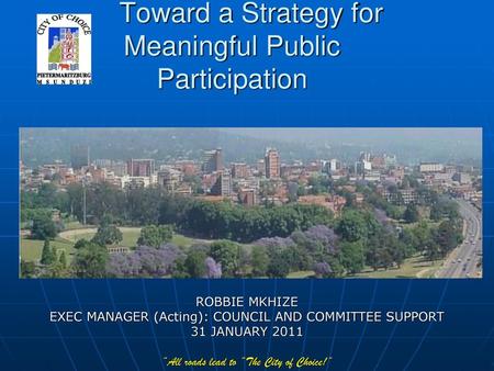 Toward a Strategy for Meaningful Public Participation