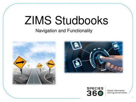 Navigation and Functionality
