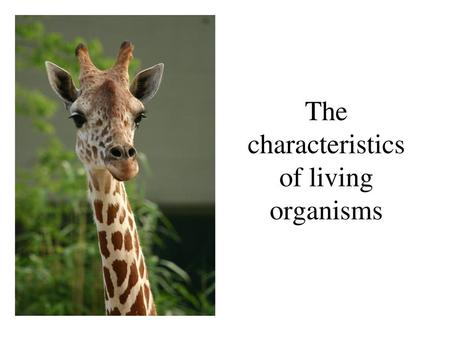 The characteristics of living organisms