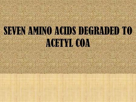SEVEN AMINO ACIDS DEGRADED TO ACETYL COA