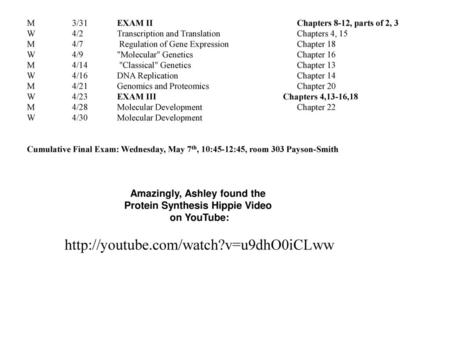 Amazingly, Ashley found the Protein Synthesis Hippie Video