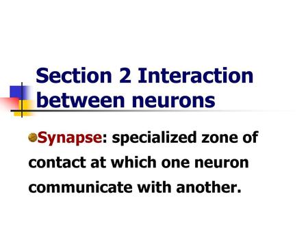 Section 2 Interaction between neurons