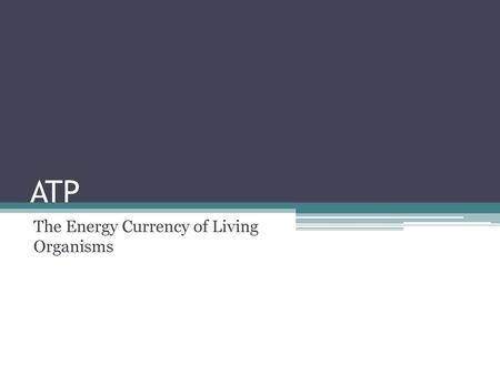 The Energy Currency of Living Organisms
