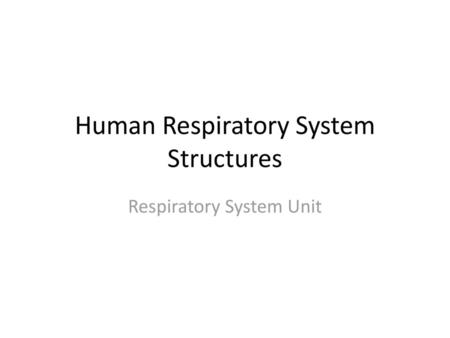Human Respiratory System Structures