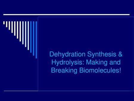 Dehydration Synthesis & Hydrolysis: Making and Breaking Biomolecules!