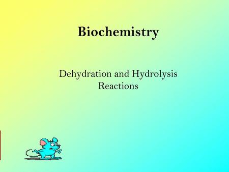 Dehydration and Hydrolysis Reactions