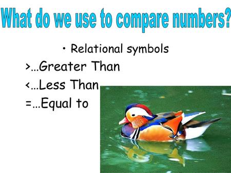 What do we use to compare numbers?
