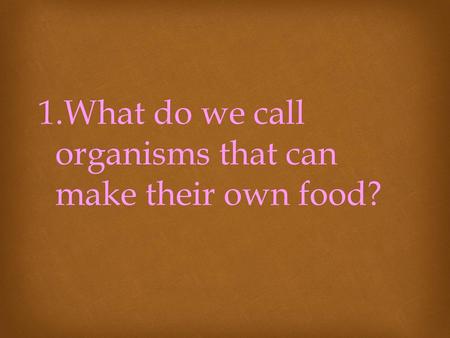 What do we call organisms that can make their own food?