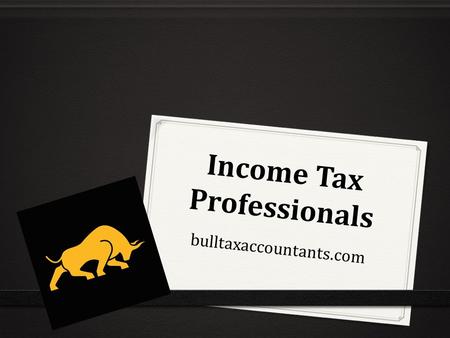 Income Tax Professionals bulltaxaccountants.com.