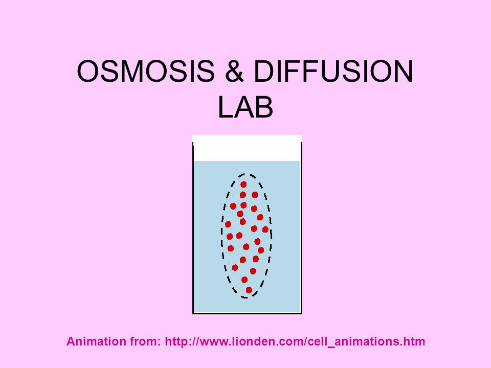 OSMOSIS & DIFFUSION LAB Animation from: - ppt download
