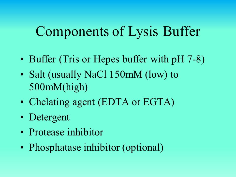 Components Of Lysis Buffer Ppt