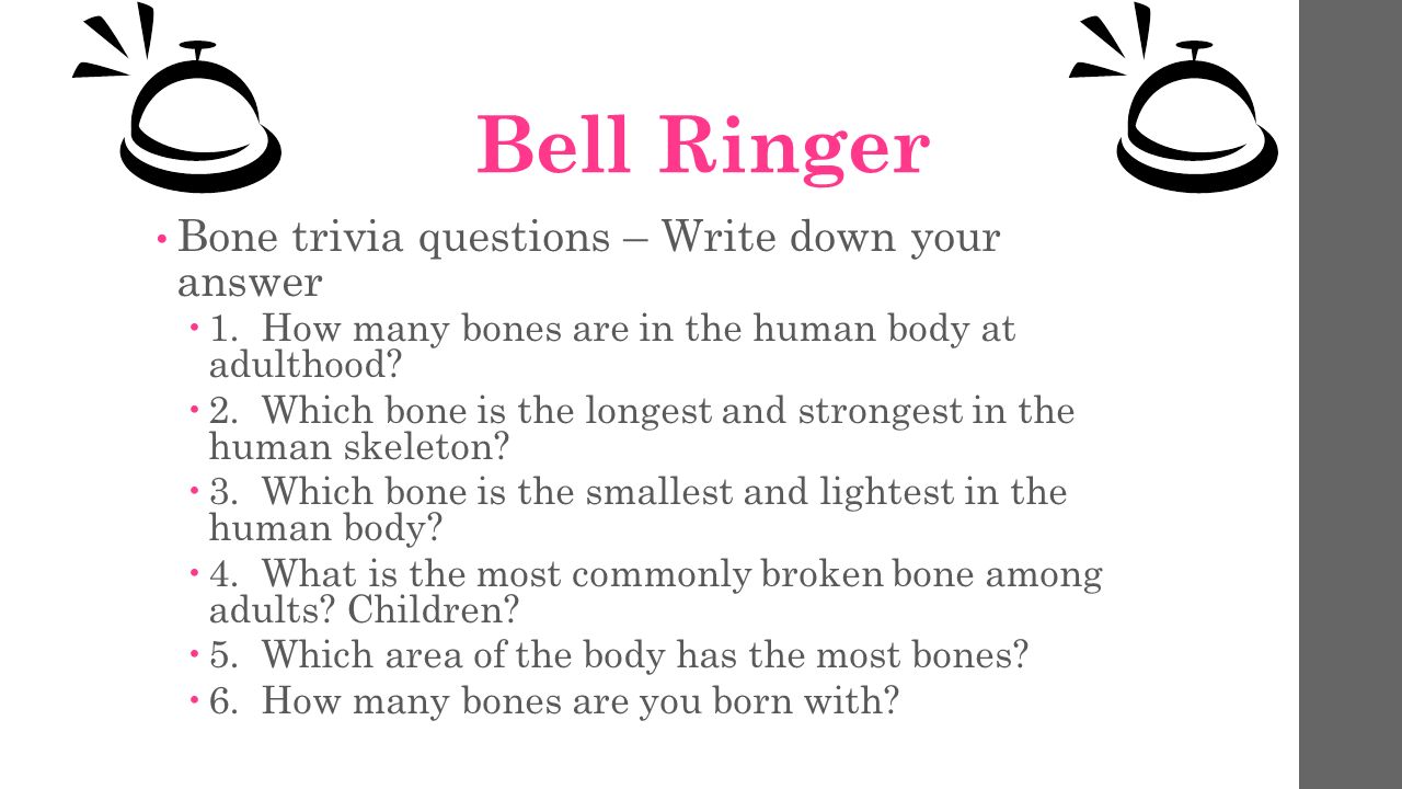 Bell Ringer Bone trivia questions – Write down your answer  1. How many  bones are in the human body at adulthood?  2. Which bone is the longest  and strongest. - ppt download