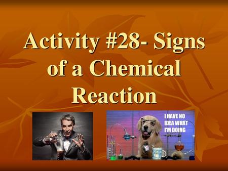 Activity #28- Signs of a Chemical Reaction
