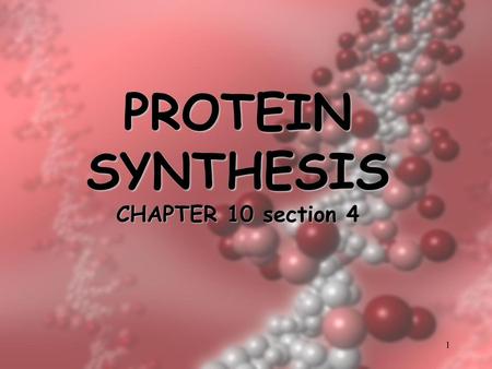 PROTEIN SYNTHESIS CHAPTER 10 section 4