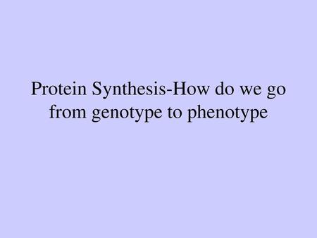 Protein Synthesis-How do we go from genotype to phenotype