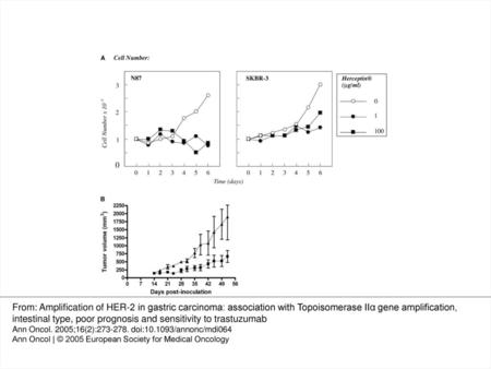 Figure 3. Sensitivity of the gastric carcinoma cell line N87 for trastuzumab in comparison with the breast cancer cell line SKBR-3. (A) Dose–response curves.