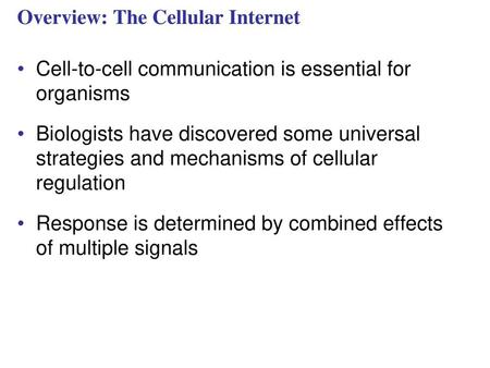 Overview: The Cellular Internet