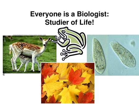 Everyone is a Biologist: Studier of Life!