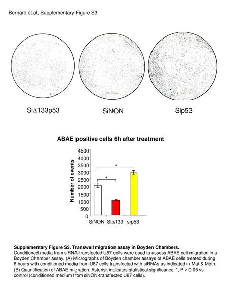 ABAE positive cells 6h after treatment