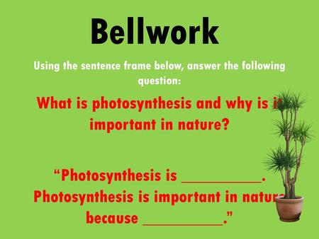 Bellwork: What is photosynthesis and why is it important in nature?
