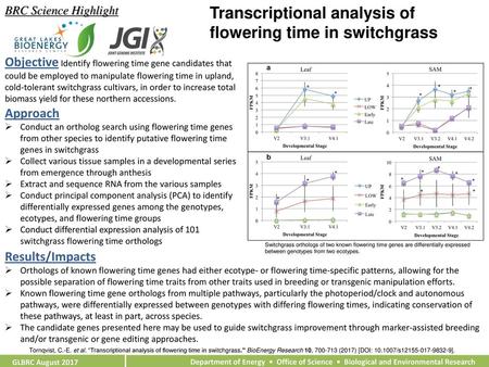 Transcriptional analysis of flowering time in switchgrass