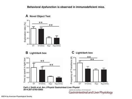 Behavioral dysfunction is observed in immunodeficient mice.