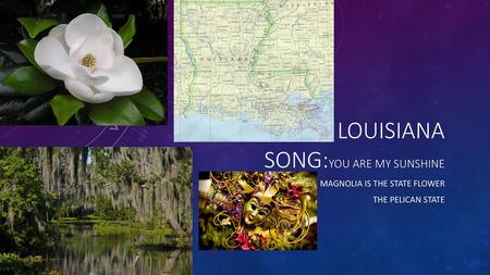 Louisiana Song:You Are My Sunshine