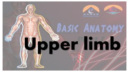 Upper limb.