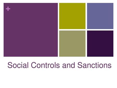 Social Controls and Sanctions