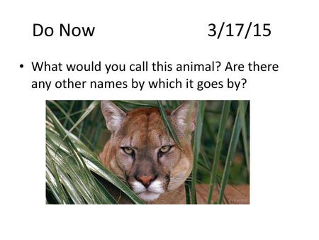 Do Now 							3/17/15 What would you call this animal? Are there any other names by which it goes by?