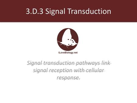 3.D.3 Signal Transduction Signal transduction pathways link signal reception with cellular response.