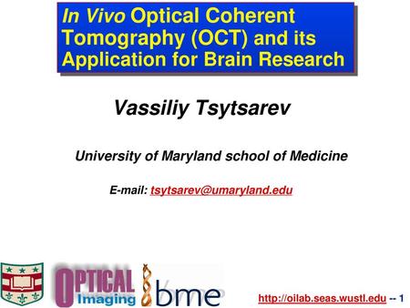 Vassiliy Tsytsarev University of Maryland school of Medicine