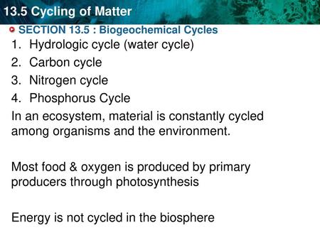 SECTION 13.5 : Biogeochemical Cycles