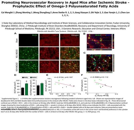 Promoting Neurovascular Recovery in Aged Mice after Ischemic Stroke - Prophylactic Effect of Omega-3 Polyunsaturated Fatty Acids Cai Mengfei 1 ;Zhang Wenting.