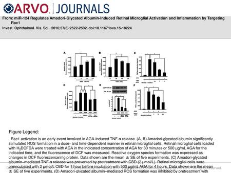 From: miR-124 Regulates Amadori-Glycated Albumin-Induced Retinal Microglial Activation and Inflammation by Targeting Rac1 Invest. Ophthalmol. Vis. Sci..