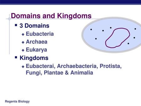Domains and Kingdoms 3 Domains Kingdoms Eubacteria Archaea Eukarya