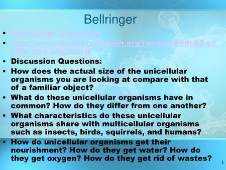 Bellringer Unicellular Organisms