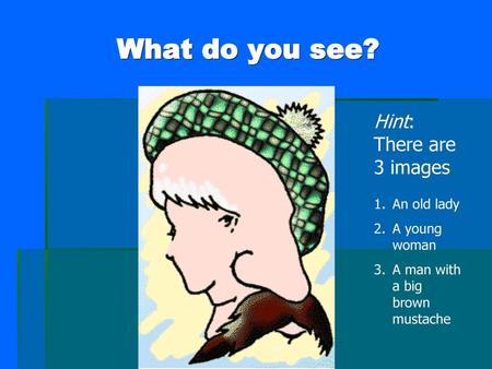 What do you see? Hint: There are 3 images. An old lady A young woman