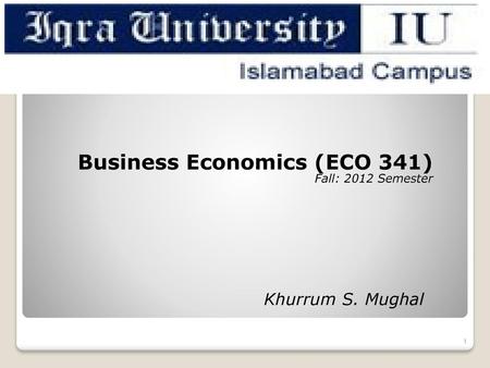 Business Economics (ECO 341) Fall: 2012 Semester
